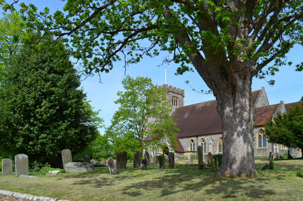 5th Place: ©2026 - Alan Woolfenden